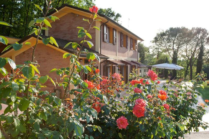 Agriturismo Di Paterno Sarzana Extérieur photo